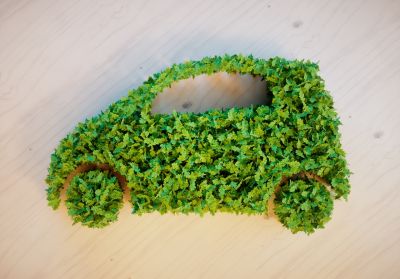 Services  Travel  Plan